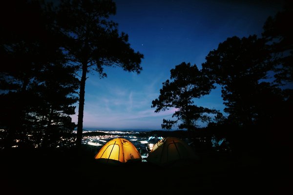 Top astuces pour naviguer efficacement dans le métro londonien
